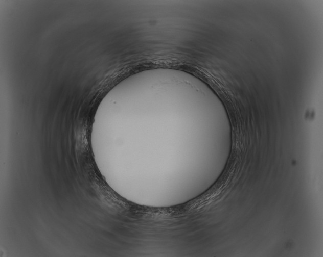 X0000091711106200708240950