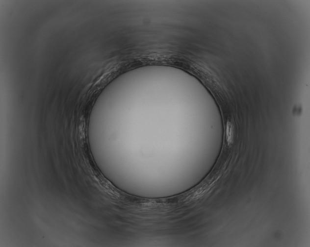 X0000091711107200708240950