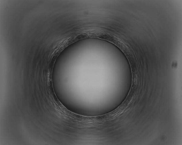 X0000091711108200708240950