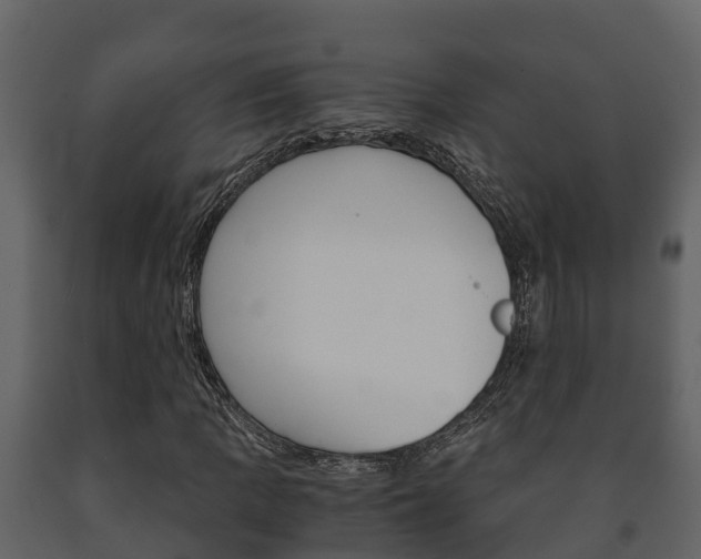 X0000091711109200708240950