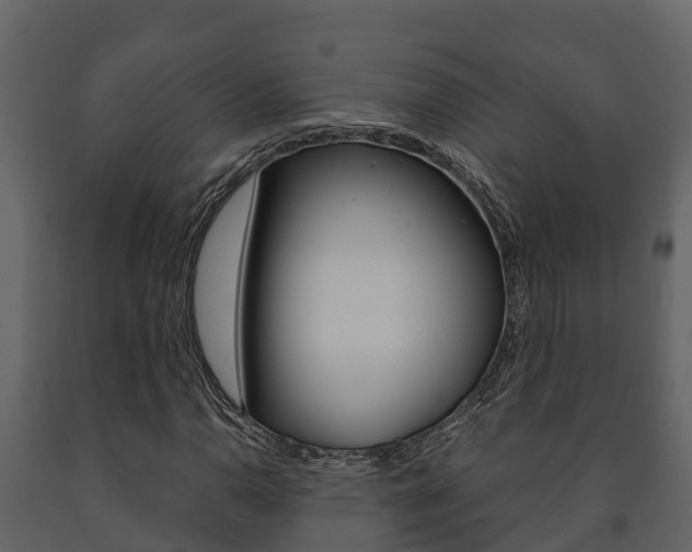 X0000091711110200708240950