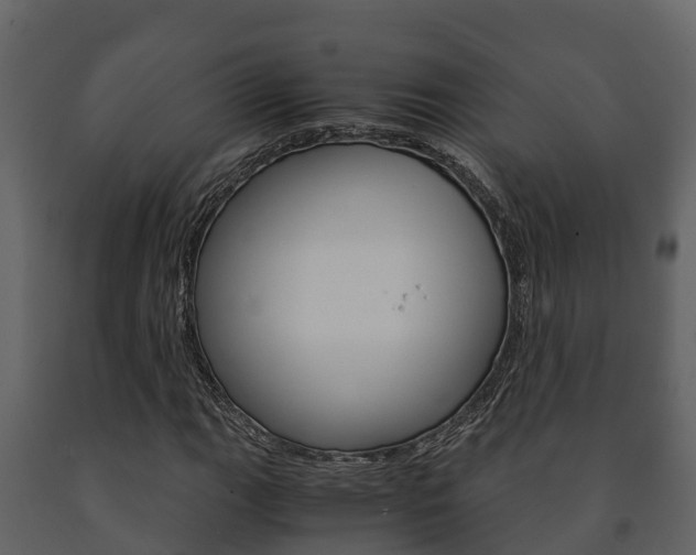 X0000091711111200708240950
