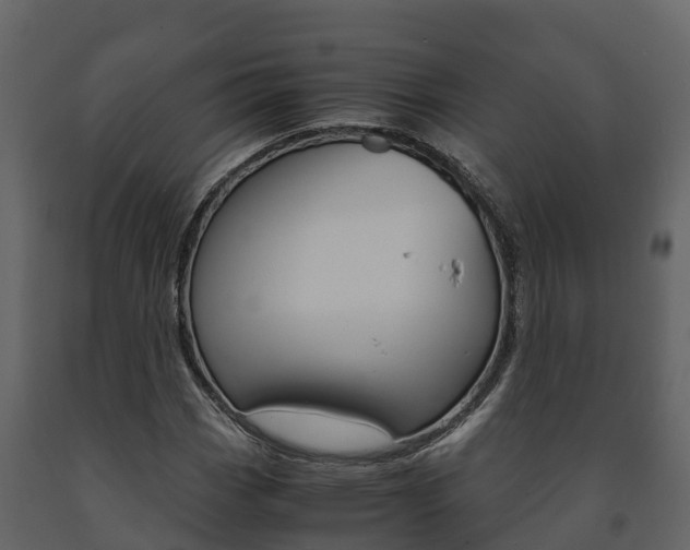 X0000091711113200708240950