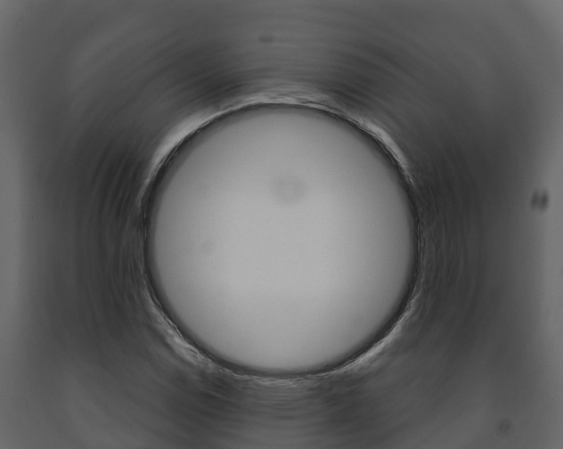 X0000091711114200708240950