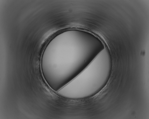 X0000091711115200708240950