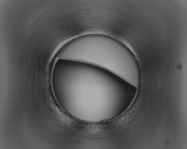 X0000091711116200708240950