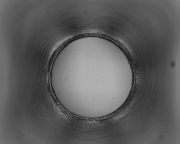 X0000091711117200708240950
