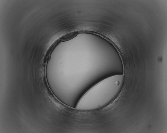 X0000091711119200708240950