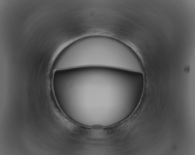 X0000091711120200708240950