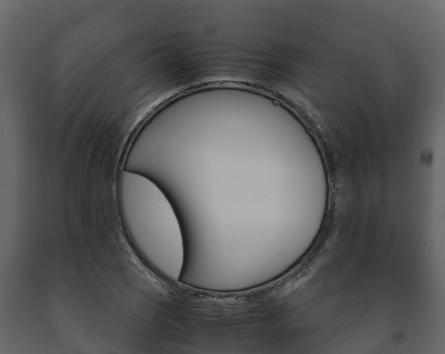 X0000091711121200708240950