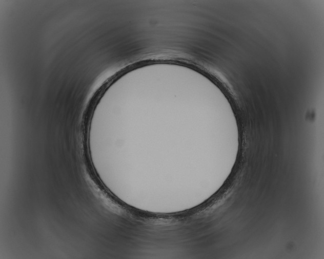 X0000091711122200708240950