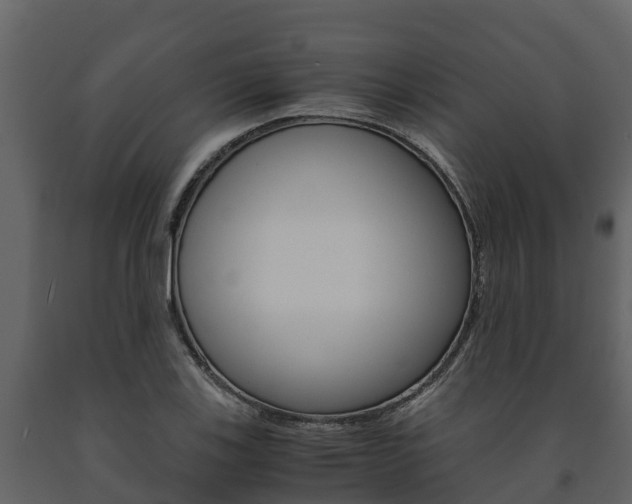 X0000091711123200708240950