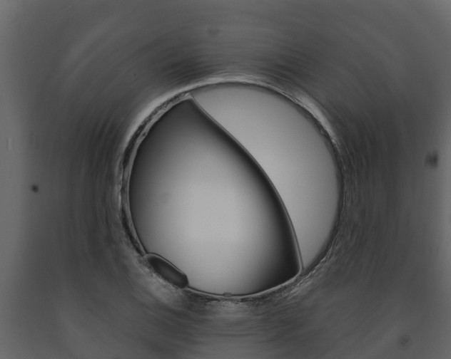 X0000091711124200708240950
