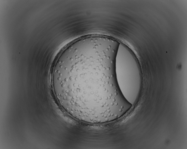 X0000091711125200708240950