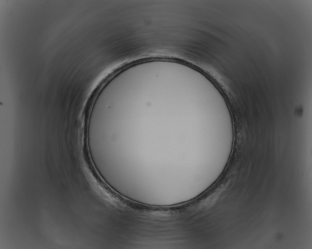 X0000091711126200708240950