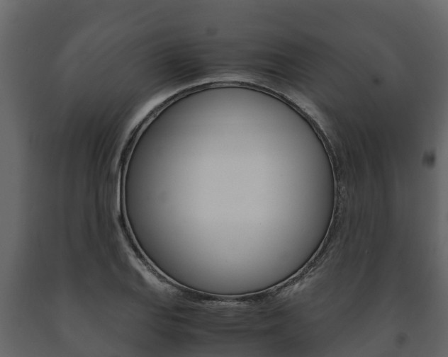 X0000091711127200708240950