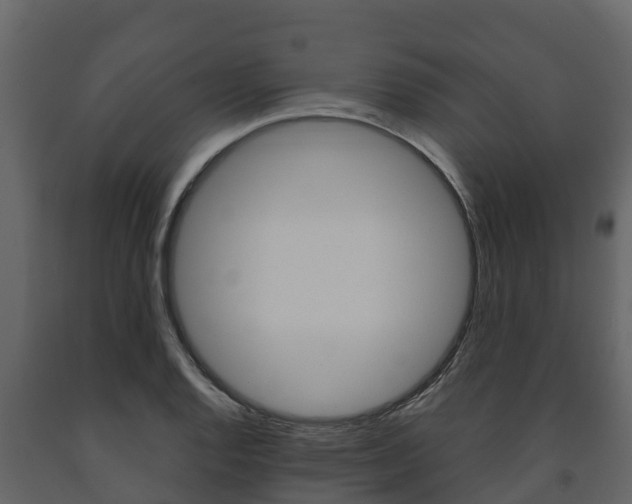 X0000091711128200708240950