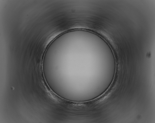 X0000091711129200708240950