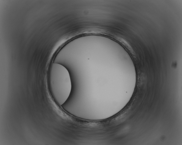 X0000091711130200708240950