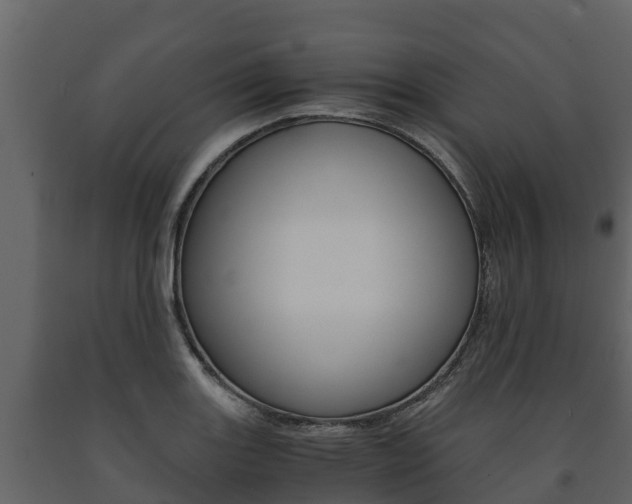X0000091711131200708240950