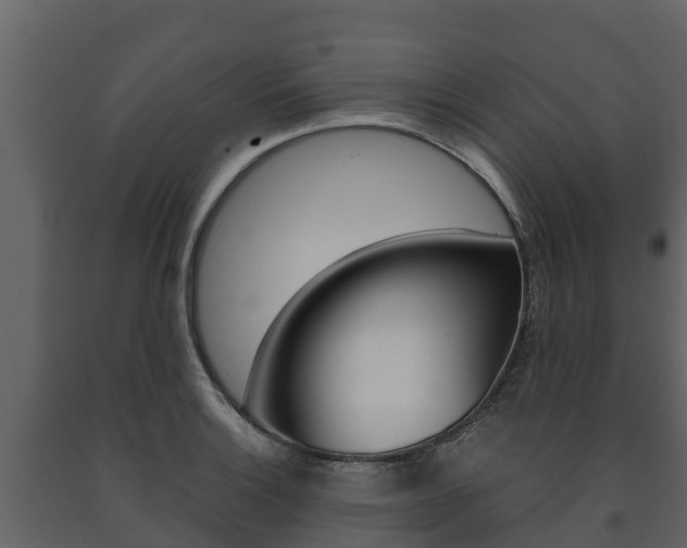 X0000091711132200708240950