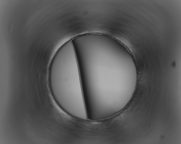 X0000091711135200708240951