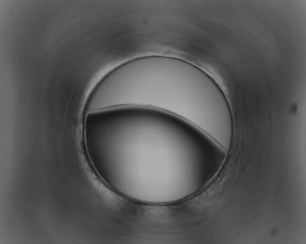 X0000091711136200708240951