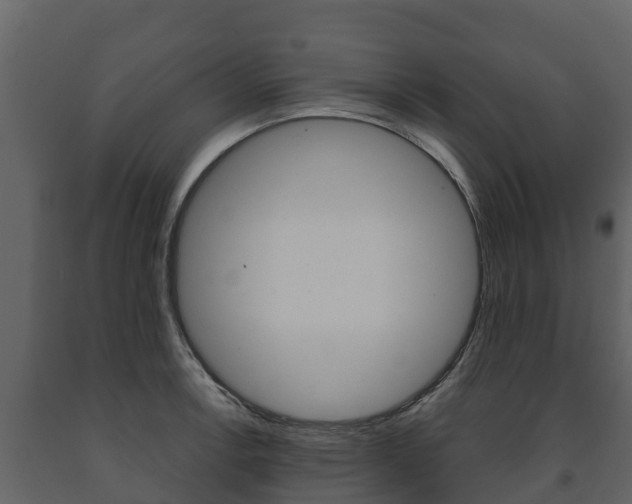 X0000091711138200708240951