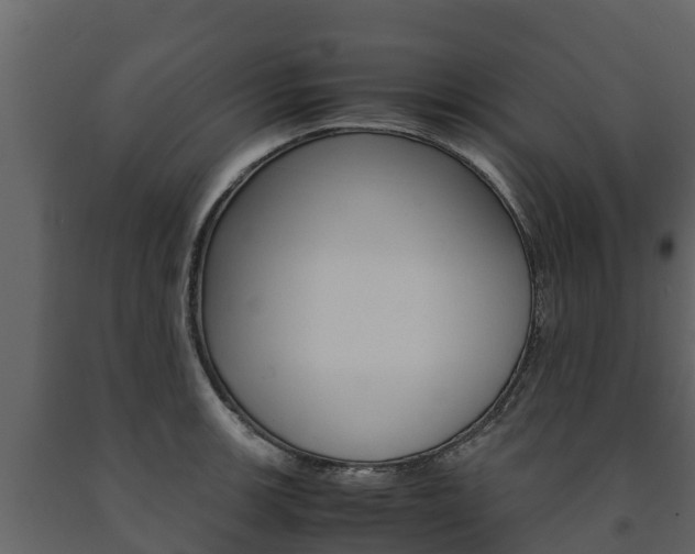 X0000091711139200708240951