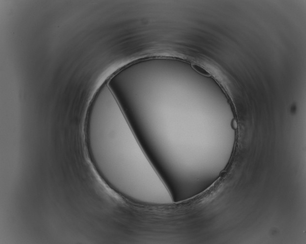 X0000091711141200708240951