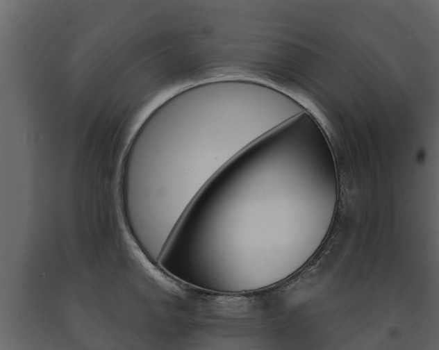 X0000091711142200708240951