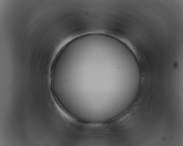 X0000091711143200708240951