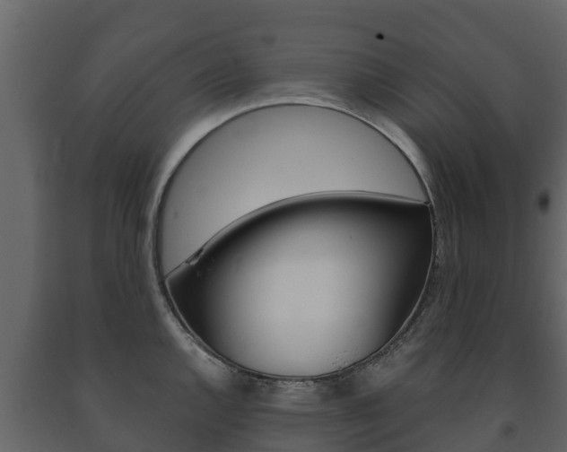 X0000091711144200708240951
