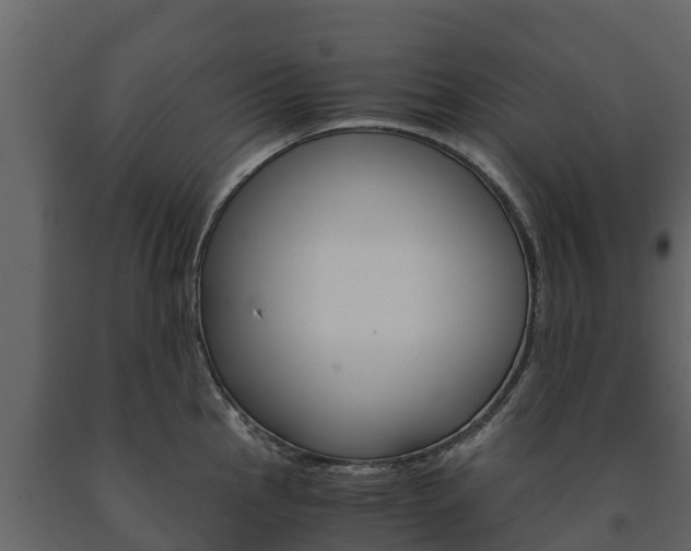 X0000091711145200708240951
