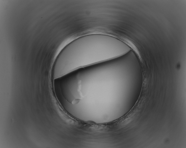 X0000091711146200708240951