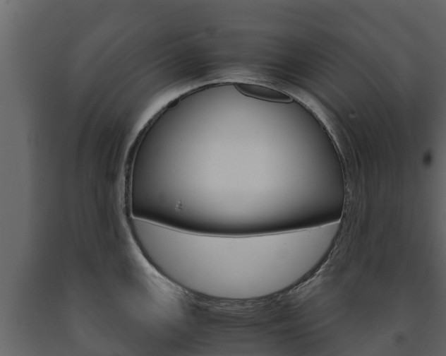 X0000091711147200708240951