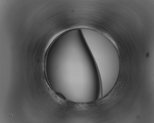 X0000091711148200708240951