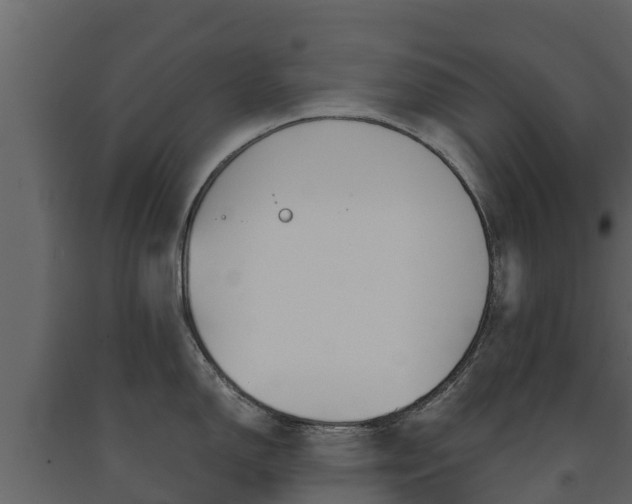 X0000091711150200708240951