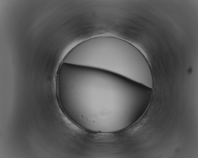 X0000091711151200708240951