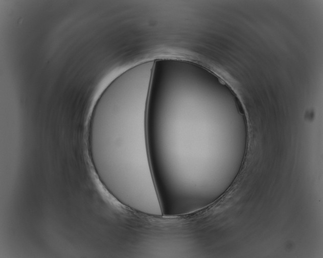X0000091711152200708240951