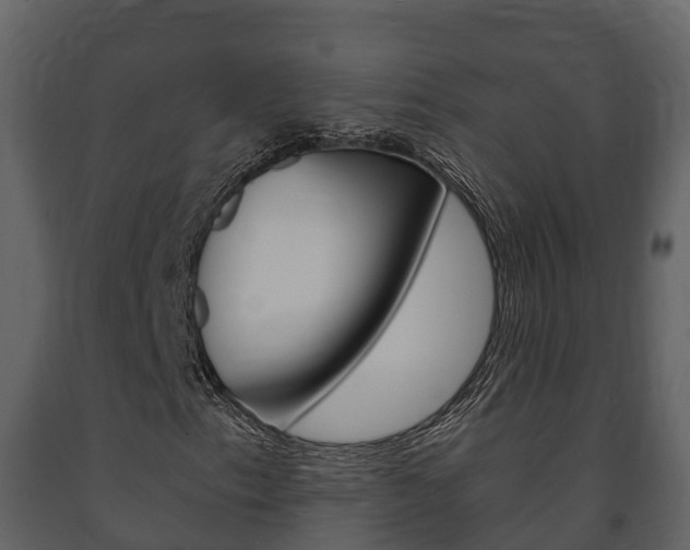 X0000091711153200708240950