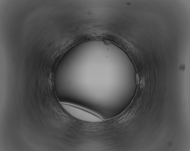 X0000091711156200708240950