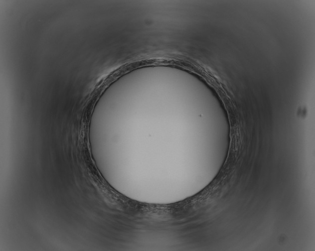 X0000091711158200708240950