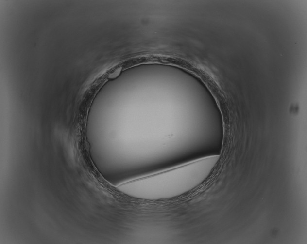 X0000091711159200708240950
