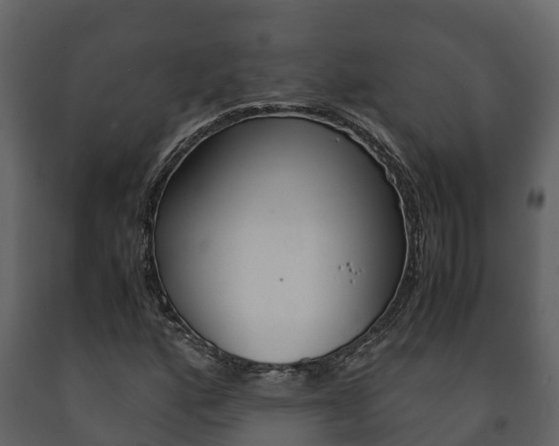 X0000091711160200708240950