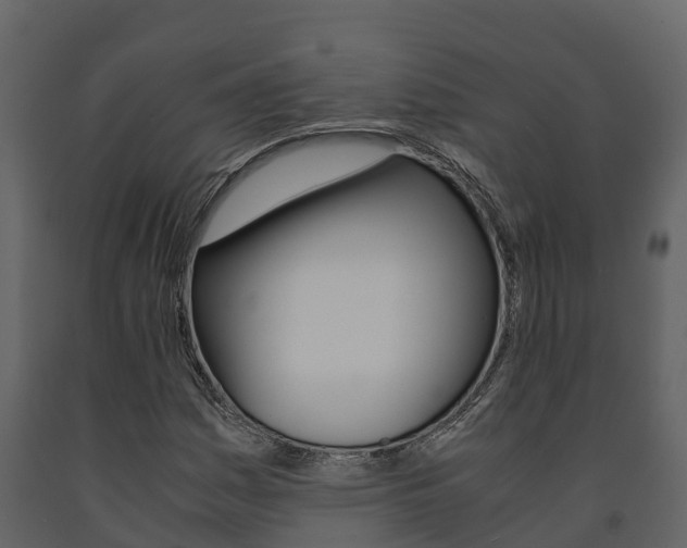 X0000091711161200708240950