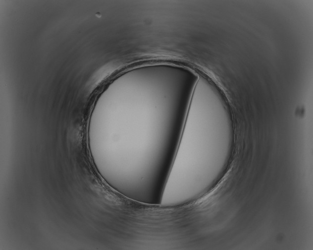 X0000091711163200708240950