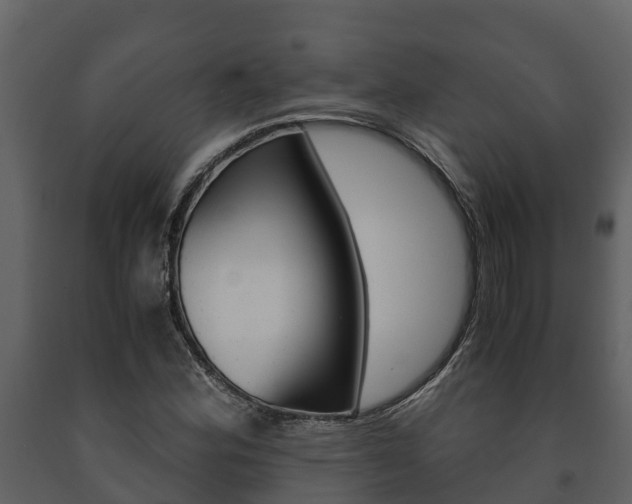 X0000091711164200708240950
