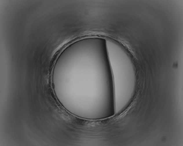 X0000091711165200708240950