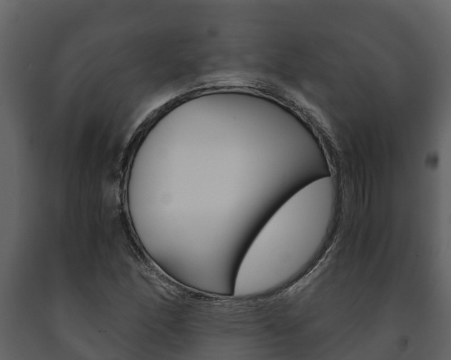 X0000091711166200708240950